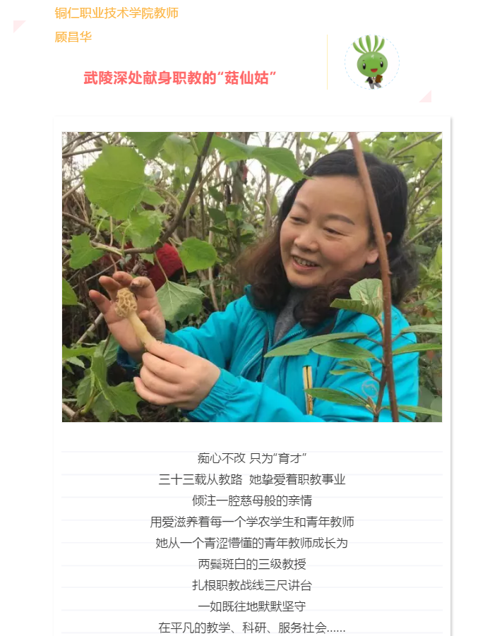 微信图片_20190912173006.png