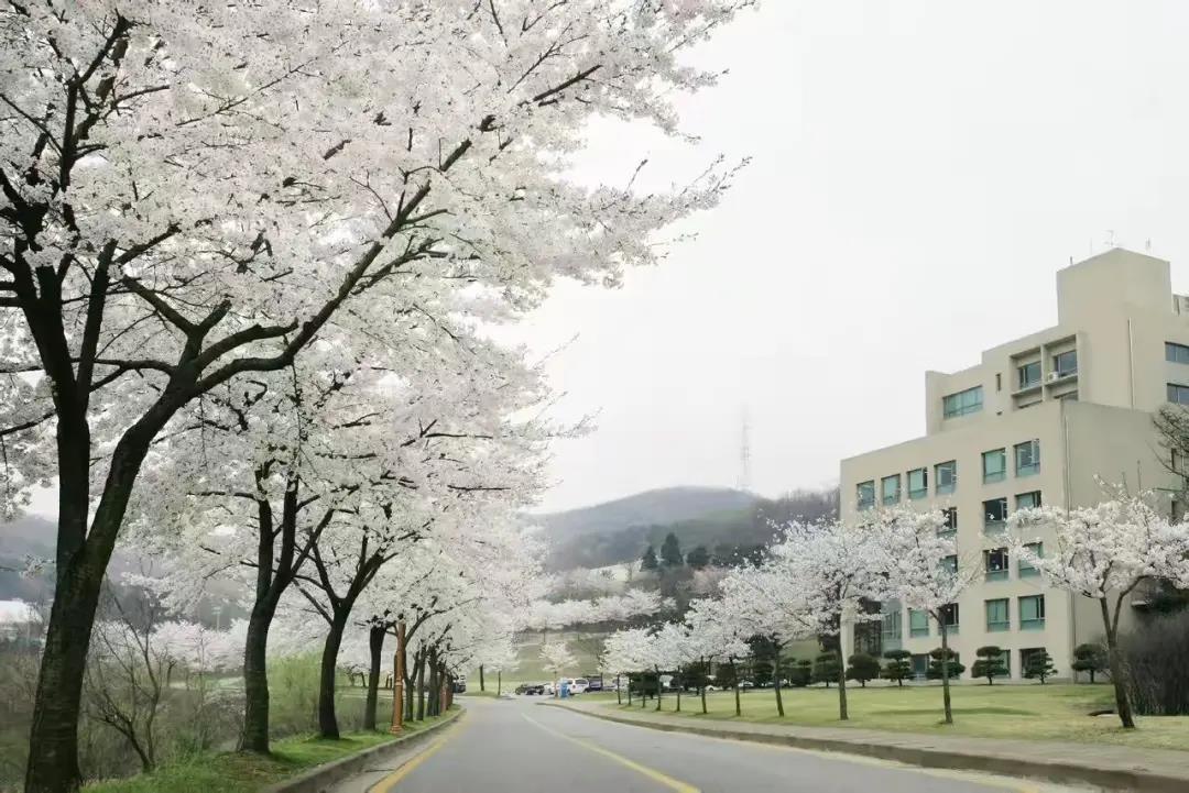 微信图片_20201019174456.jpg 微信图片_20201019174456.jpg