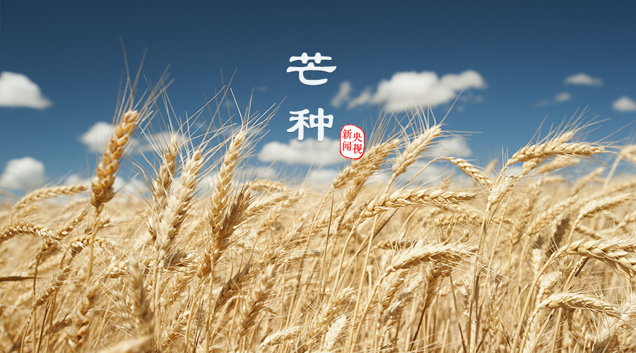 微信图片_20190610102543.jpg 微信图片_20190610102543.jpg