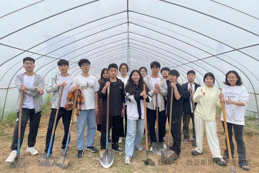 图示, 示意图
中度可信度描述已自动生成:ver1
