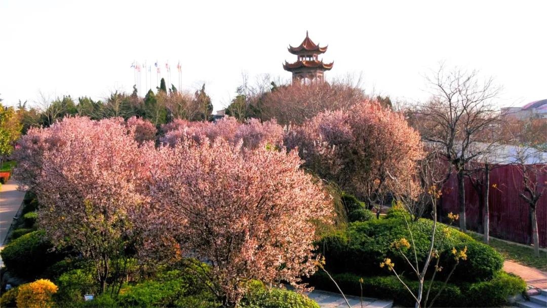 微信图片_20200407144118.jpg 微信图片_20200407144118.jpg