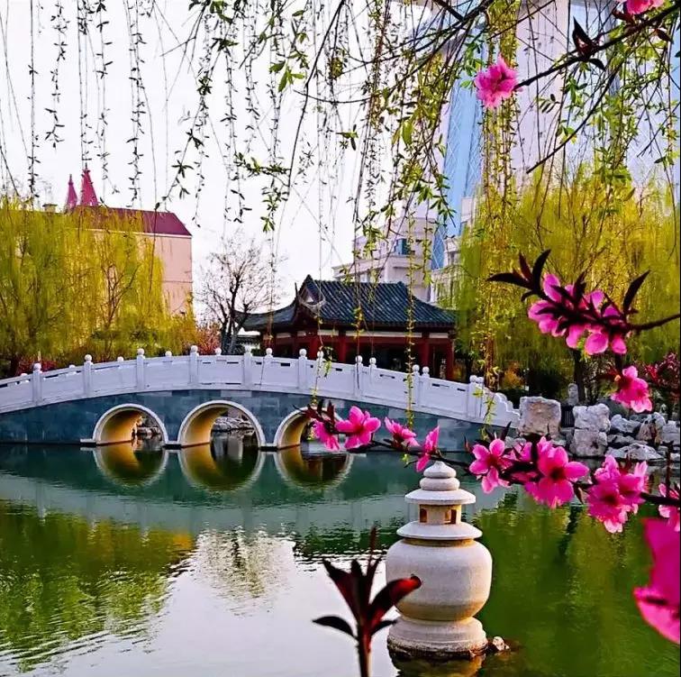 微信图片_20200411163759.jpg 微信图片_20200411163759.jpg